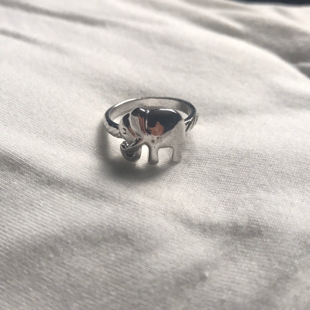 Elephant Ring - Picture 3 of 3